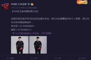 文轩爆料官宣微博视频大全,精彩瞬间一网打尽  第2张